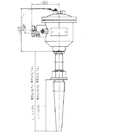 WRE-640A隔爆型本安型熱電偶安裝圖片