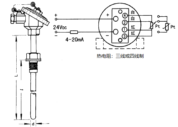 SBWZ-2481/231熱電阻一體化溫度變送器安裝圖片